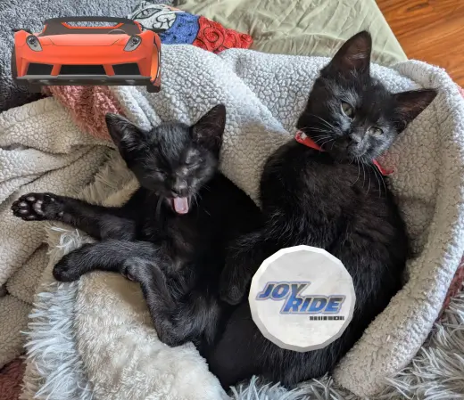 Auto Shop Brothers