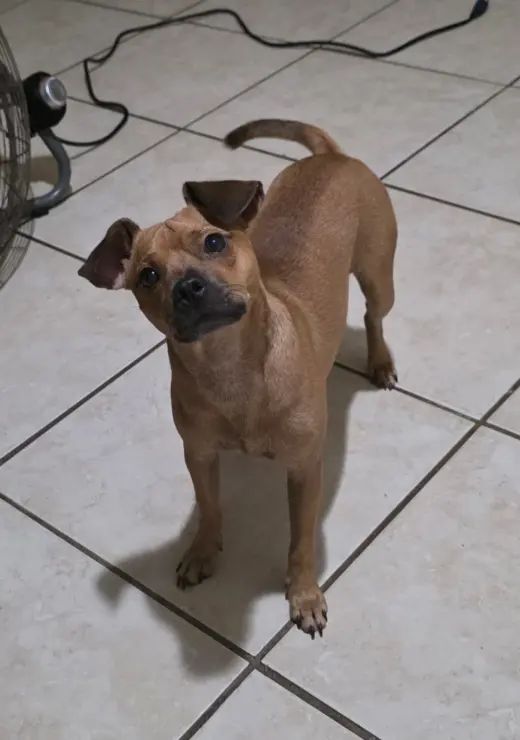 Zeus