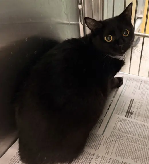 SERIOUS