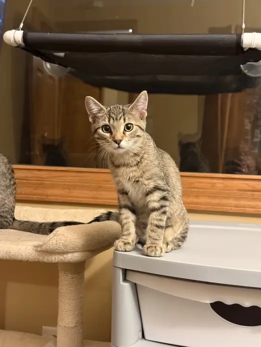Ethel