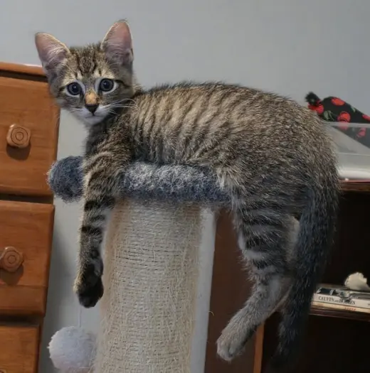 Berkeley