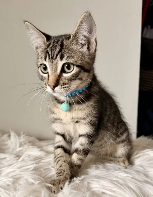 Billy