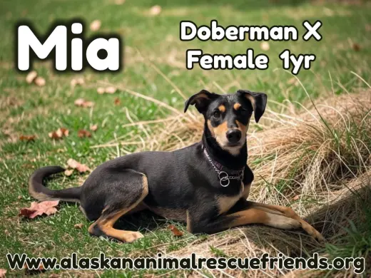 Mia