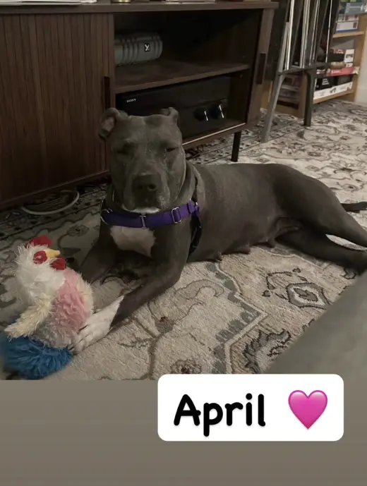 April