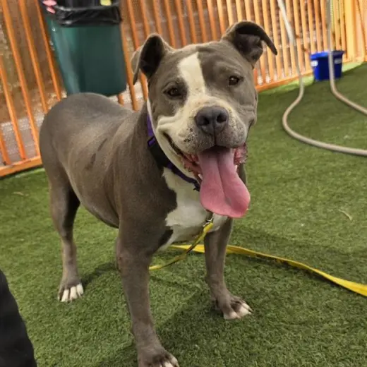*MAGGIE MAE