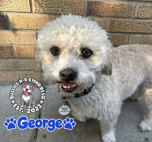 George