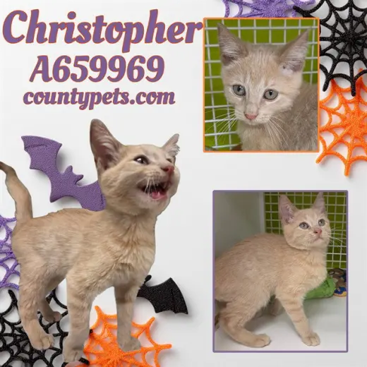 CHRISTOPHER