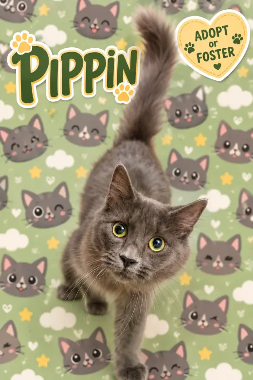Pippin (FCID# 10/01/2026 - 20 Trainer)