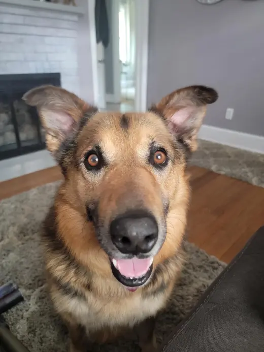 Lazlo-Courtesy post