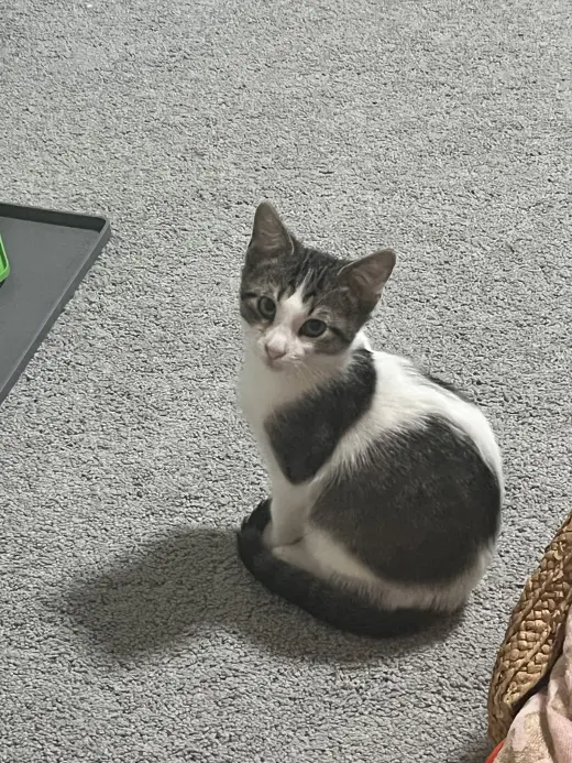Nash