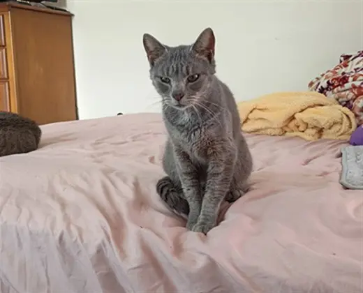 SABRINA