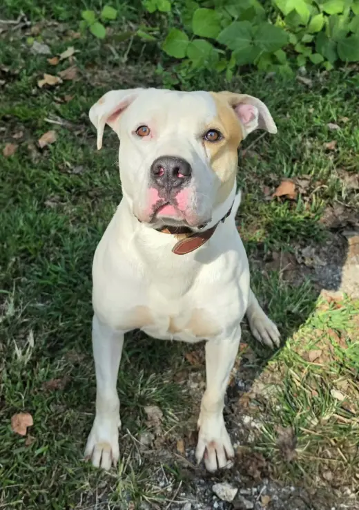 Coco