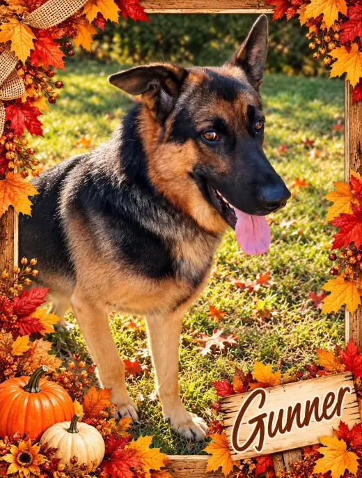 Gunner