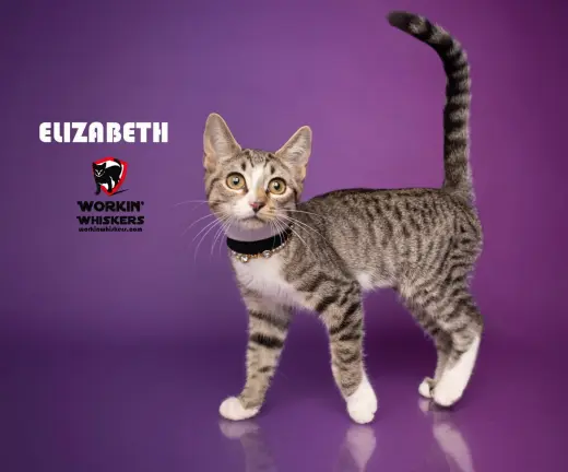ELIZABETH