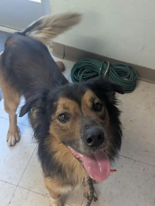 Roscoe