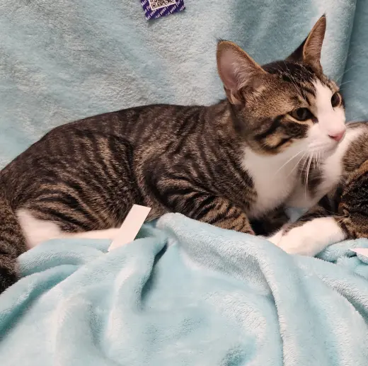 Oliver #bonded-to-Olivia