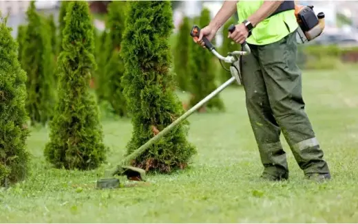 Contratista de jardineria