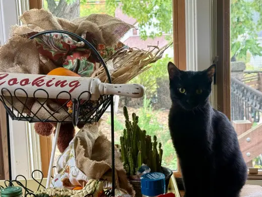 Penelope