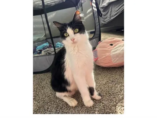 LUNA