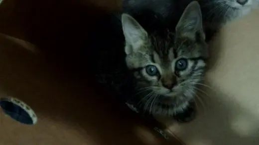 LUNA
