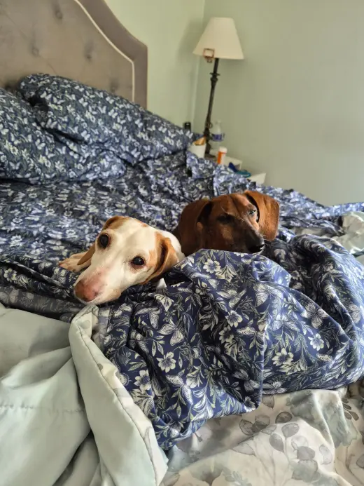 Dakota and Moose