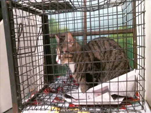 GATI