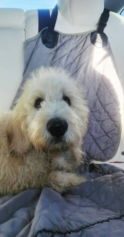 Bailey