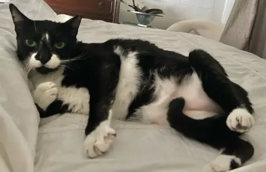 TuxeE