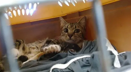 PRECIOUS