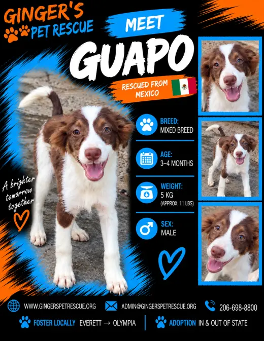 Guapo From Mexico