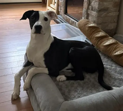 FIONA
