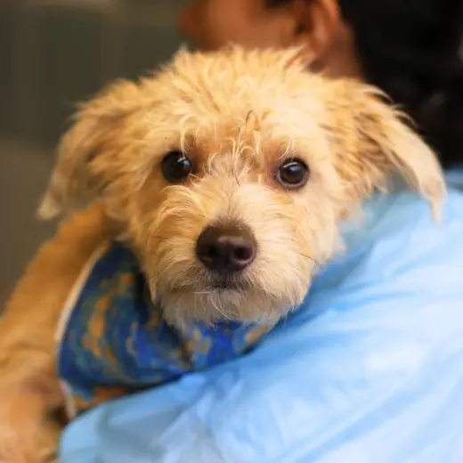 WINNIE