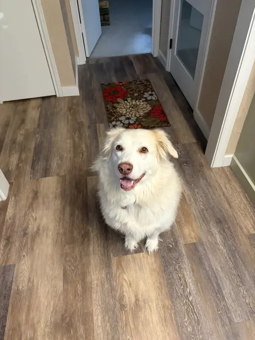 Molly