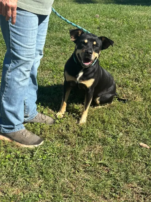 Annie - At shelter