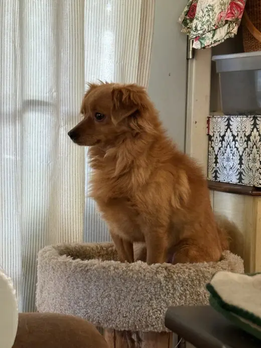 RUSTY
