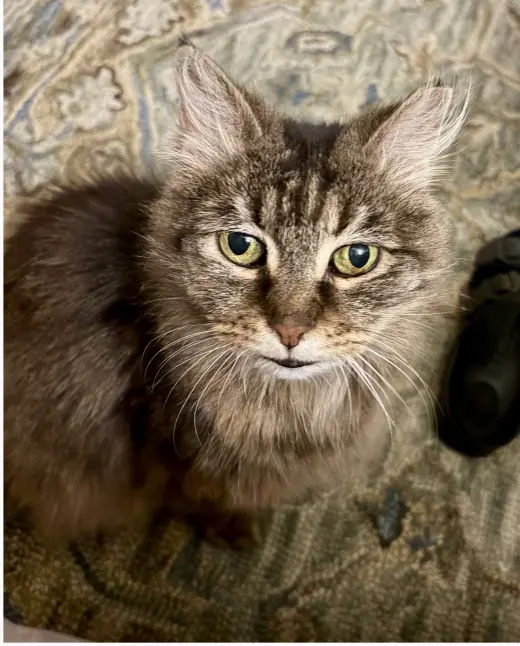 Maggie