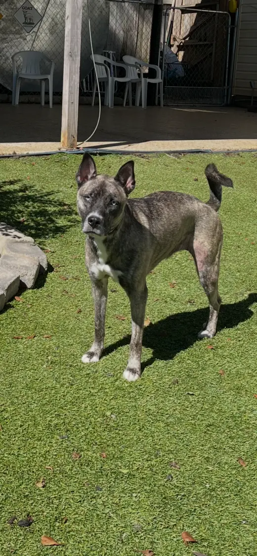 Josie