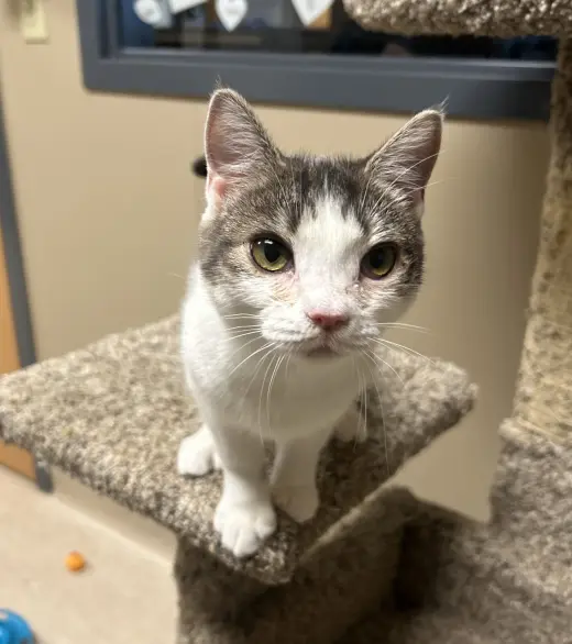 Ernie Mae
