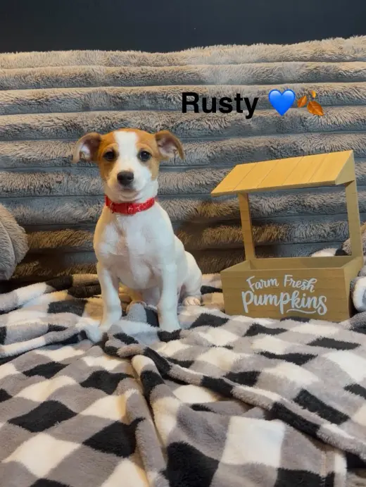 Rusty