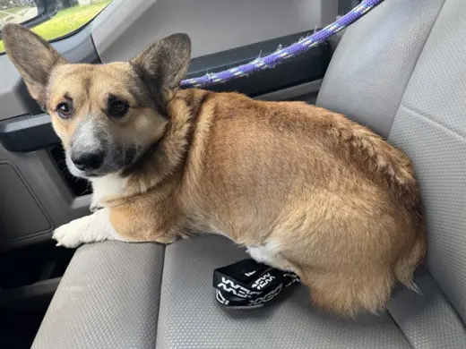 COUNT BARKULA