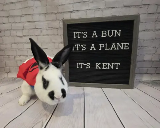 Kent