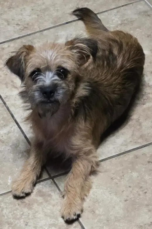 Freda