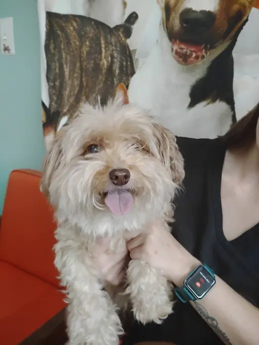 Marty and Niko