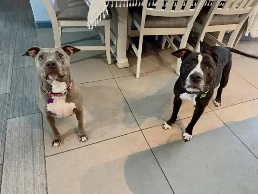 Rockwell & Sterling