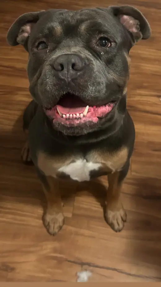 Zeus