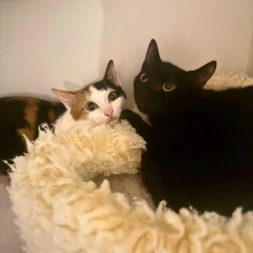 Ilya & Xenia