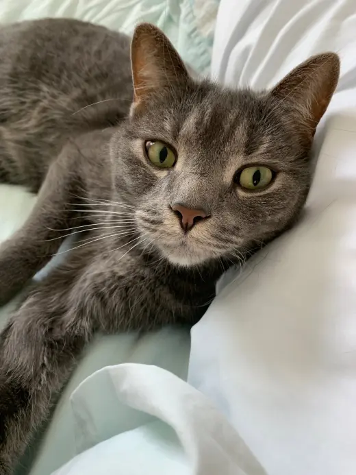 Charlie