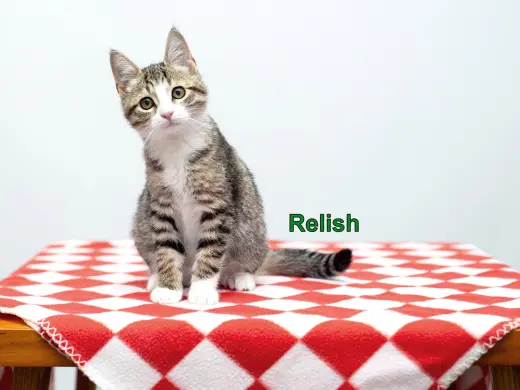 Relish