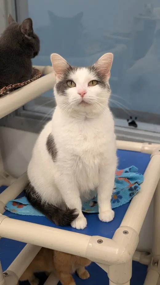 Suzie