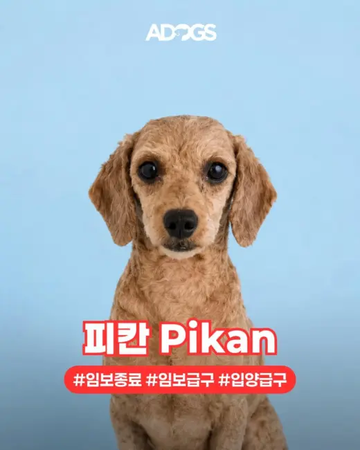 PIKAN